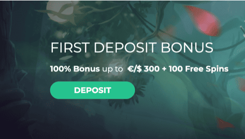 Payments & Withdrawal Betzard Casino